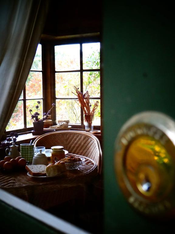 Arden Country House Waitati 외부 사진