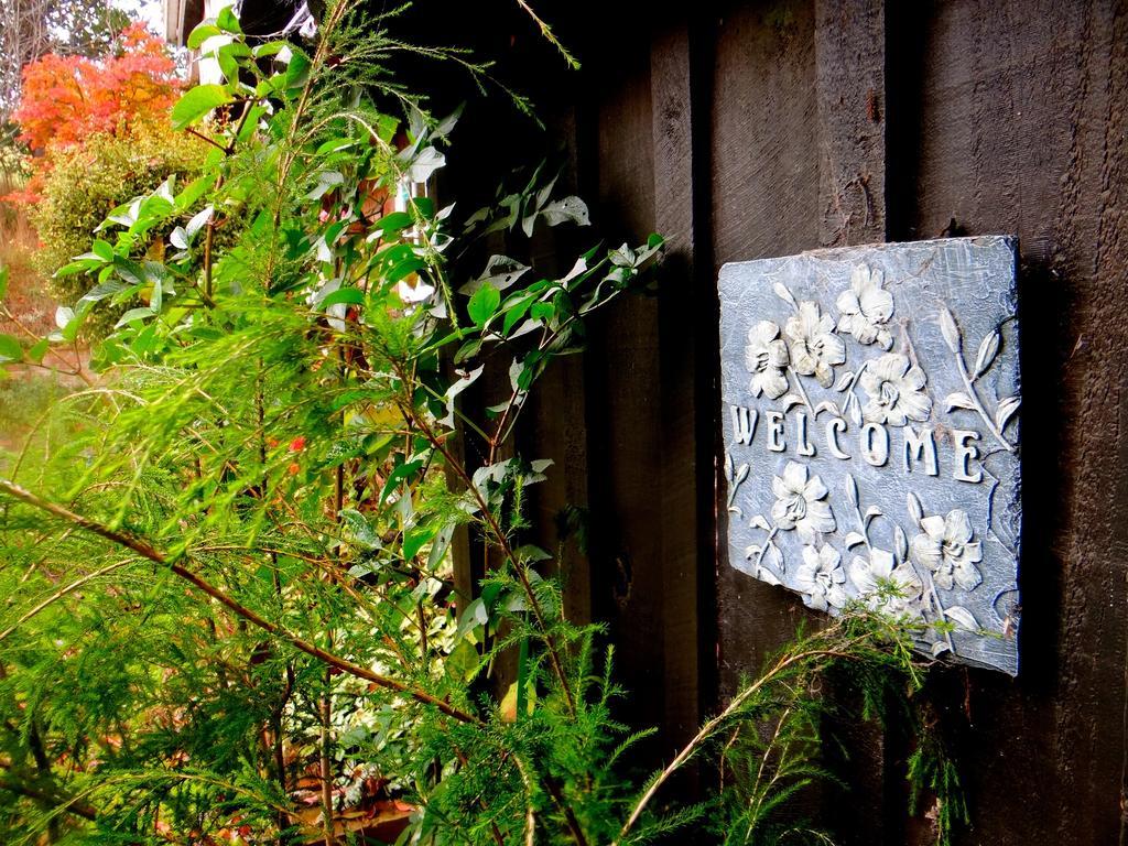 Arden Country House Waitati 외부 사진