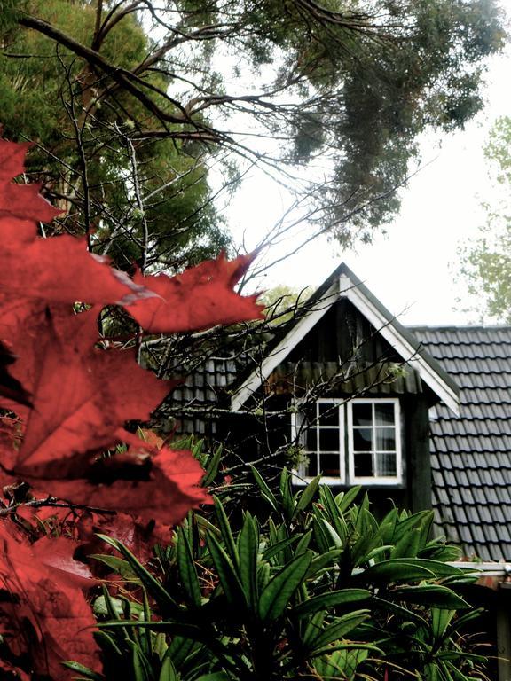 Arden Country House Waitati 외부 사진