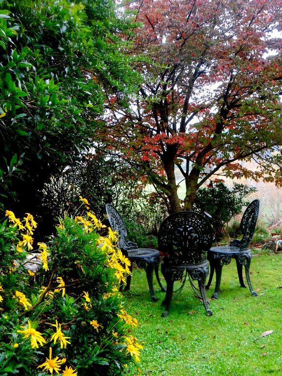 Arden Country House Waitati 외부 사진