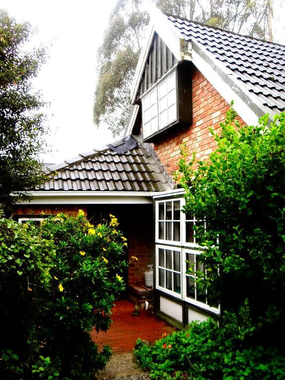 Arden Country House Waitati 외부 사진