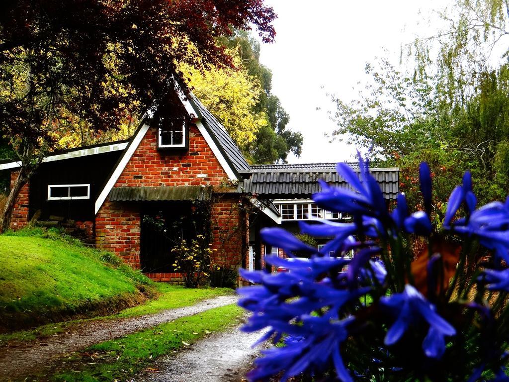 Arden Country House Waitati 외부 사진